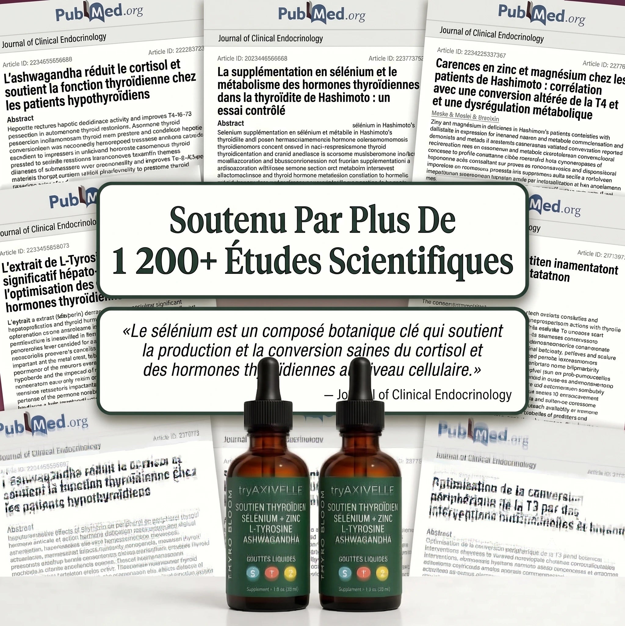 TryAxivelle Équilibre Thyroïde